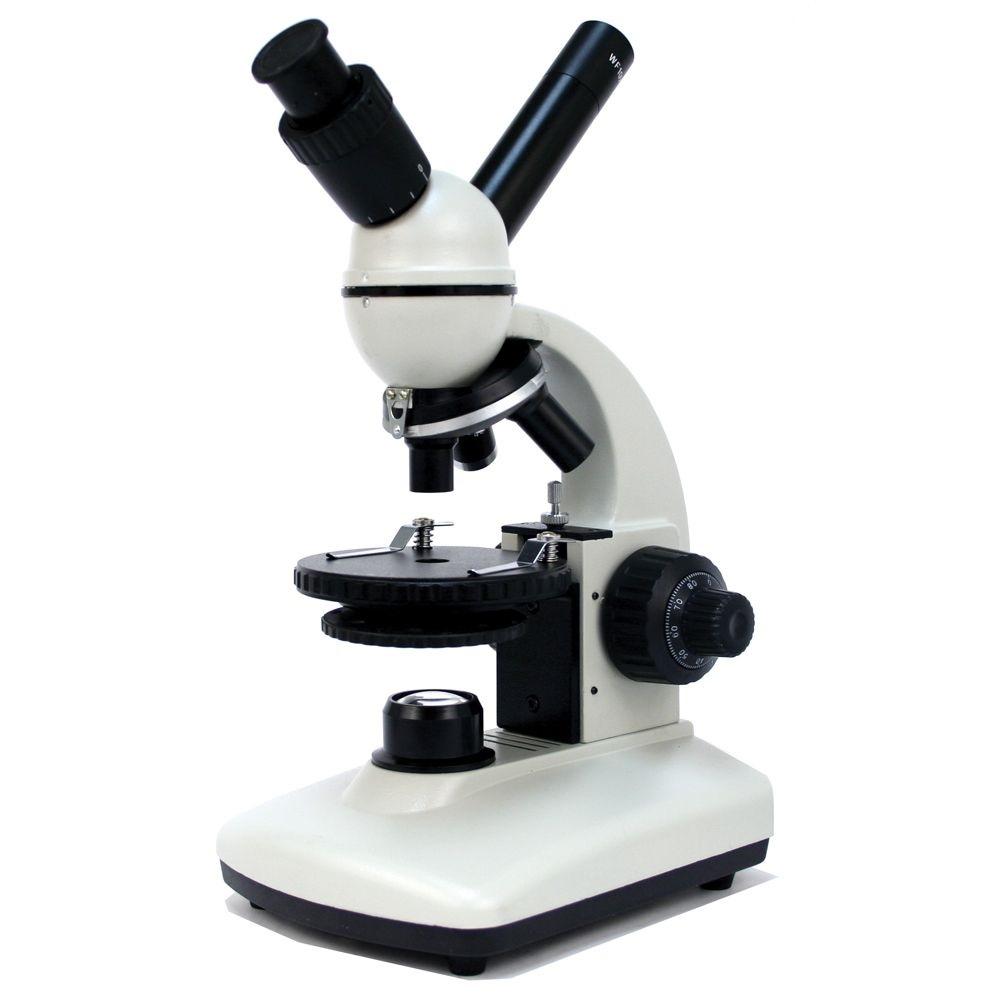 High School Microscope - 45° Dual Viewing